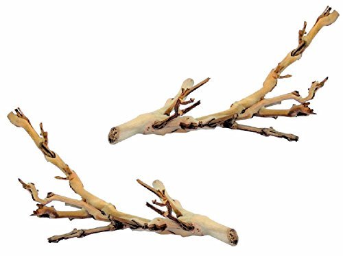(2 Pack) Exo Terra Forest Branch, Small - 