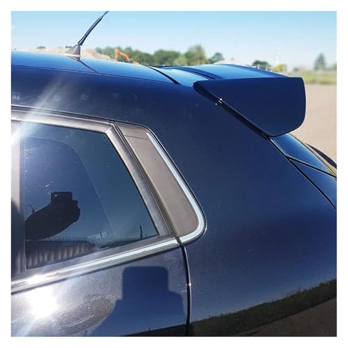 AECO tBAbg u{[ II 2006-2016 ԗpX|C[ EBO bv Jo[ ABS OX ubN J[{bN {fBLbg(No color)