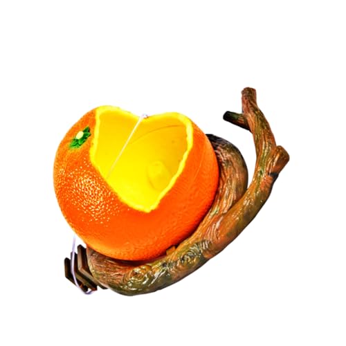 BCOATH P[Wybgt[hRei ̉a V[htB[_[ L̎a {tB[_[ EYtB[_[ ʕ̒̉a IE{E ̃t[hz_[ Orange