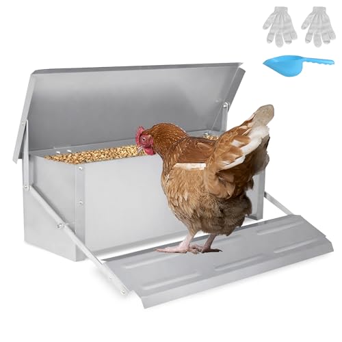 UISEBRT Mangeoire automatique pour poules, 10 kg, en acier galvanisé, avec pédale automatique et couvercle étanche, pour volailles, poules, canards, convives UISEBRT Mangeoire automatique pour poules, 10 kg, en acier galvanisé, avec pédale automatique et couvercle étanche, pour volailles, poules, canards, convives