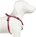 Guardian Gear Nylon 2-Step Dog Harness, Fits Chests 15