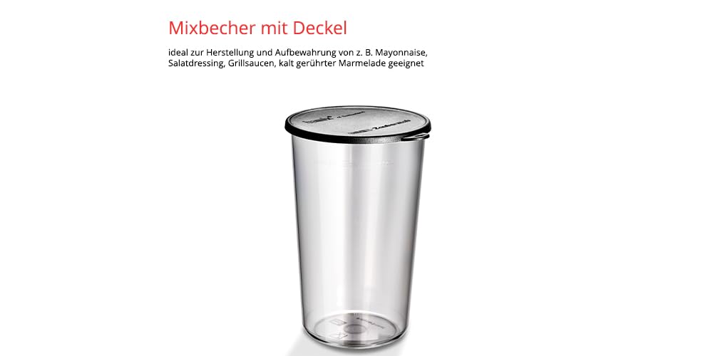 ESGE-Zauberstab 9240024 E 120 Select Creme, Stabmixer, Pürierstab inkl. Multimesser, Schlagscheibe Fleisch- und Gemüsemesser, Zerkleinerer, Messbecher 120 Watt