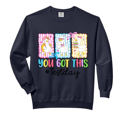 Funny Goose Testing Day You Got This Test Day Teacher Kids Comfort Colors Adult Sweatshirt