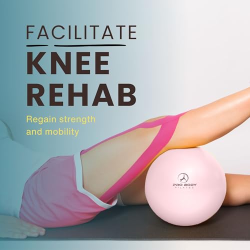 ProBody 9-Inch Pilates and Therapy Ball for Core Stability and Rehab