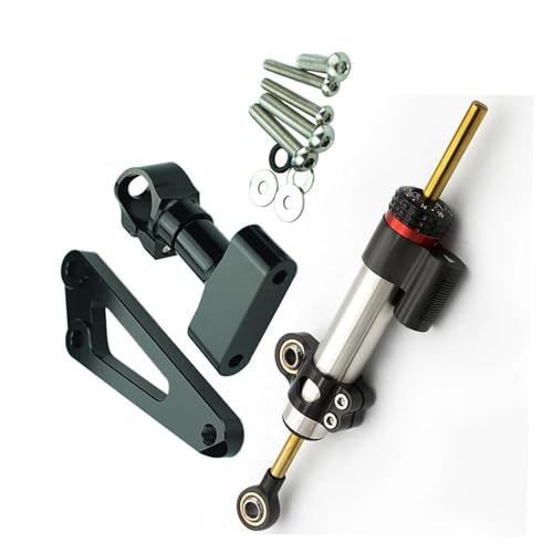 Amortisseur stabilisateur direction moto : kit montage pour balades en CB600F Hornet