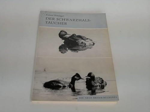 Der Schwarzhalstaucher