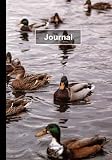 Hardcover Journal Duck: Beautiful Flock of Ducks And Wavy Water, College Ruled Notebook/Journal Lined 120 Pages, for School, Office & Home, 7' x 10' Inches