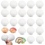 YRUHAN Muscheln zum Basteln, Muscheln zum Bemalen, Weiße Jakobsmuscheln, Kreative Handarbeit, Natürliches Material, DIY Malerei, Geeignet für Bastelarbeiten, Hochzeitsdekoration (6-8CM)