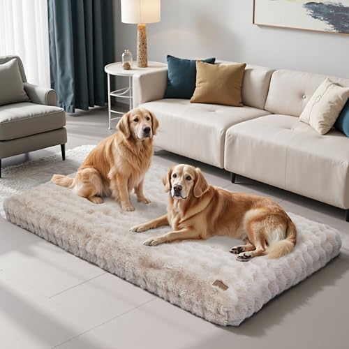 BingoPaw Hundebett für Menschen Hunde: 200x130x18 cm Riesiges Human Dog Bed für Erwachsene, Flauschig Weich Abnehmbar Bezug, Multifunktional Hundebetten Hundematte Teppich Wohnzimmer, Beige