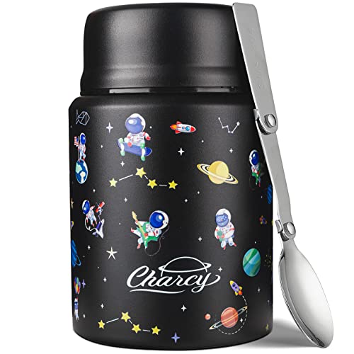 Top 10 Food Thermos For Kids of 2022 Katynel