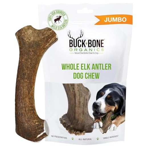 Buck Bone Organics Dog Chews, Elk Antlers for Dogs, Long Lasting Dog Bones for Aggressive Chewers, All Natural, No Preservatives, Wild Shed in the USA (Jumbo)