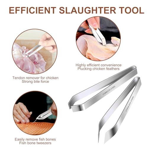 KONIDUN Lung Scraper of Chicken Processing Equipment, Easily Removes Poultry Lungs, Acacia Wood Handle, Chicken Butchering Equipment That Efficient Gutting Tool for Turkey, Chicken - Image 5