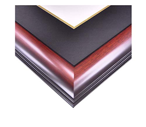 Campus Images NCAA Hampton Pirates Unisex Silver Medallion Frame Hampton University 11w x 8.5h Silver Embossed Diploma Frame Lithograph, Brown, One Size