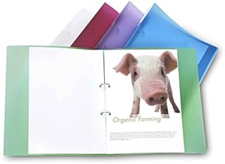 Rapesco 0716 25 mm 2-Ring Bright Transparent Ring Binder, 35 mm Spine, A4, Assorted Colours, Pack of 10