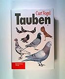  Tauben