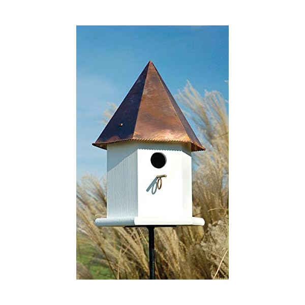 Heartwood Copper Songbird Deluxe Birdhouse Finish: White with Brown Copper Roof