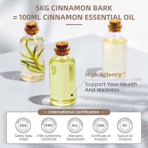 Image of HIQILI Cinnamon Bark Essential Oil for Versatile DIY, Diffuser & Skin | Brings Calming Stress Relief, Gentle Household Barrier, Soothing Massage Comfort & Air Freshening - 500ml / 16 fl oz