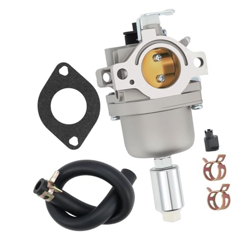 Carburateur 591731 796109 résout les ratés moteur Briggs 31C707