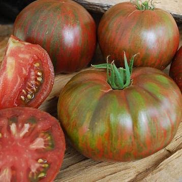 Tomato Berkeley Tie-Dye Pink 100 Seeds