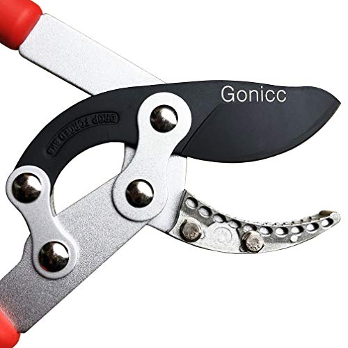 Gonicc Professional 30 Inch Sk-5 Steel Blade Anvil Lopper, 2-Inch Cutting Capacity, Sturdy Extra Leverage 22-Inch Handles, Garden Pruning Tree Hedge Branch Cutter Trimmer Clippers Scissors. #TOP1