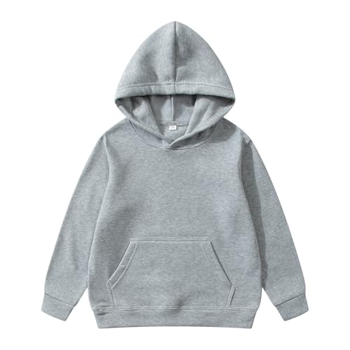 Boys' Hoodie Hooded Sweatshirt Boys Girls And Toddlers' Pullover Hoodie Sweatshirts Full Zip Hoodie2