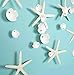 Decor365 White Finger Starfish Sea Shell Garland Ocean Coastal Nautical Party Decoration Starfish Cutouts Hanging Bunting Banner Under The Sea Mermaid Wish Birthday Beach Wedding Decor