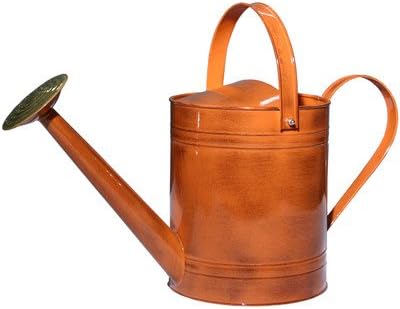 Canyon 2-Gallon Watering Can Color: Tango