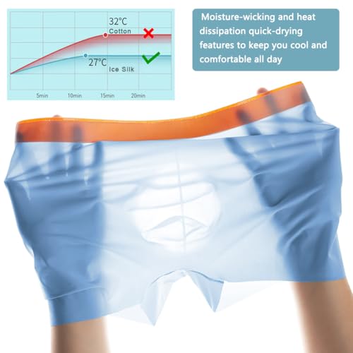 Men's Traceless Trunks Ice Silk D Pouch Undewear Sexy See-Through Transparent Brief Boxers2