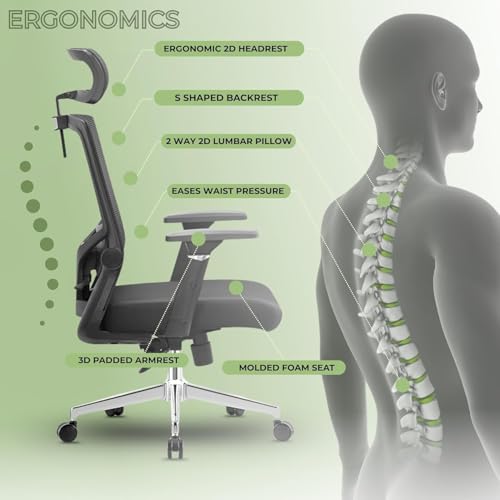 Image of Rocknova Ergonomic Office Chair for Work | 4 Year Warranty | Multi-Lock Auto-Adapt Recline | 3D Armrest | Adjustable Lumbar (D82 Black)
