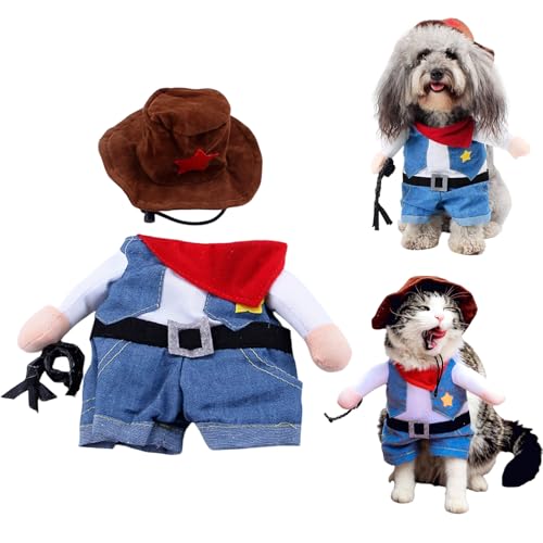 Kingsie ybg RXv  L nEB NX}X ʔ 킢 JE{[C 2s W[ RX`[ ^ ^  ϐg Mtg (S)