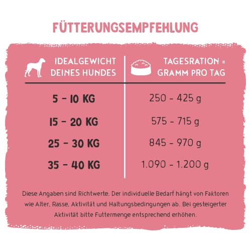 Bosch Freshe Schnauze, Huhn mit Reis und Karotten 8 x 250 g, Schonend Dampfgegartes Nassfutter für Hunde, Vollwertiges Alleinfuttermittel mit hohem Fleischgehalt, 8 x 250 g Hundenassfutter