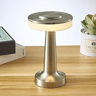 Boary Rechargeable Cordless LED Metal Table Lamp, Portable USB Desk Lamp, Dimmable Reading Light of Touch Sensor for Bedside Tables, Coffee Tables, Hotels and Restaurants,Silver