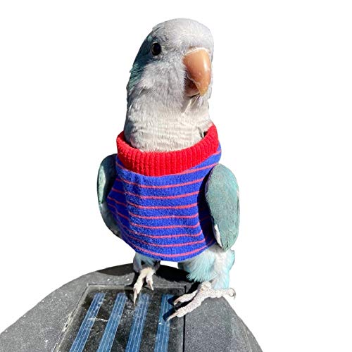 HEZHUO Bird Clothes? Parrot Bird Supplies, Light Flying Clothes, Warm and Comfortable, Tiger Skin, Green Cheek Parrot, Little Sun Parrot, Monk Parrot, Starling, mynah, Senegal Parrot, Mini Macaw (L)