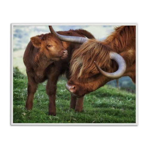 Longhorn Cow Nuzzling Calf Farmhouse, 11 x 14 Inch Framed Giclée Print