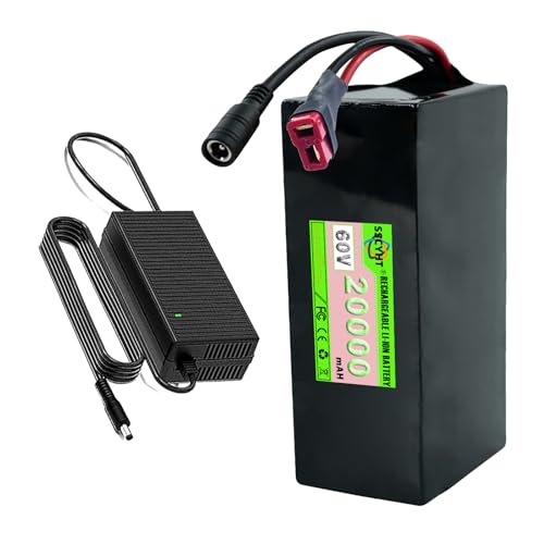 SSCYHT 60V Lithium Battery 60V 20Ah 15Ah 25Ah 12Ah Lithium Ion Battery 60V 30Ah 10Ah Rechargeable Battery 60V Li-ion Battery for 250W - 1800W Motors with Charger,60v20ah t Plug