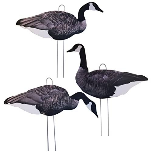 Top 10 Best goose silhouette decoys Picks For 2023 Maine Innkeepers