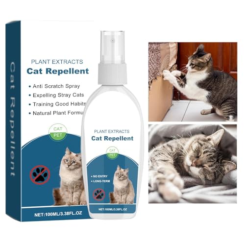 LpXv[,LpXv[ - L̏h~g[jOXv[,ƋA\t@A~̈h~100MLXv[ALƎq̕\ʂی삵܂