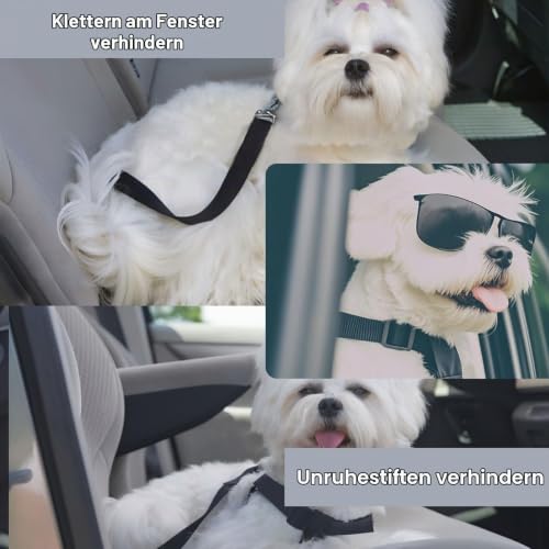 pangutheos 2 Stück Anschnallgurt Hund Auto, Einstellbar Hundegurt Auto