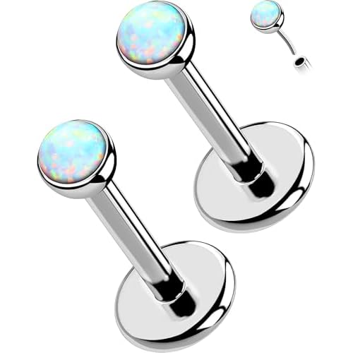 OUFER 2PCS 16G/20G Nose Lip Studs, G23 Solid Titanium Threadless Push in Nose Nostril Lip Labret Medusa Monroe Helix Cartilage Tragus Conch Lobe Piercing Jewelry for Women Men Silver bar, Op