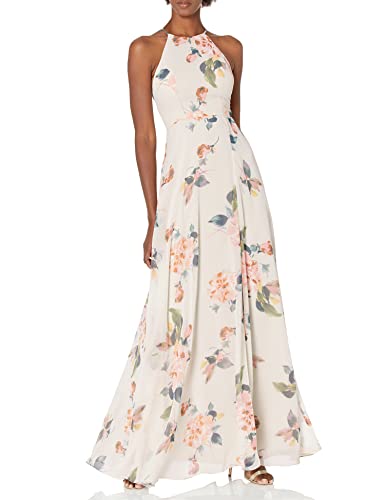 Jenny Yoo Women s Kayla A-Line Halter Floral Printed Chiffon Long Dress, Soft Blush Multi, 2