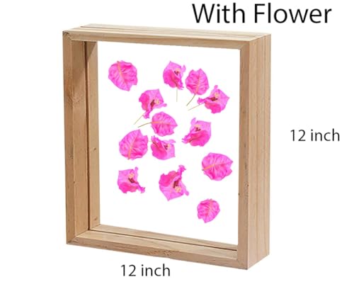 Image of Desi Rang Wooden Square Frame For Wall Decor Table Top Hanging Any Green Or Dry Plant Leaf Picture Photo DIY Gift Home Decoration (Natural,Sqr,12X12 Inch,With Pink Flower)