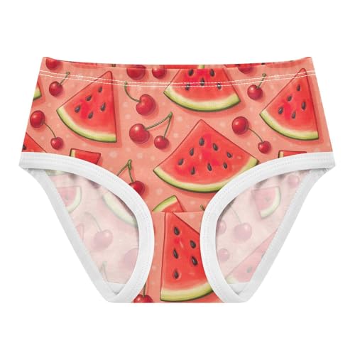 Joisal Cotton Girls Underwear Toddlers Watermelon Slices Cherries Red Panties Little Girl Fun Underpants Briefs 2t