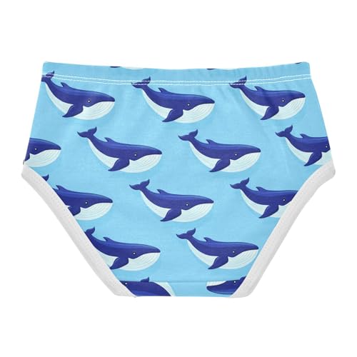 Ocean Whale Blue Toddler Girls's Underwear 2T 23031662