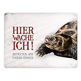 Vorsicht! Mit einer bissigen Schildkröte ist nicht zu spaßen.