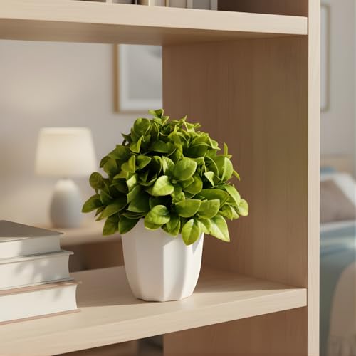 Image of fancymart Artificial Citrus Leaves Green Bunch in Pot - 22 cm Height, Perfect for Tabletop Decoration | Ideal for Home & Office Decor