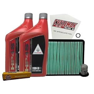 41qtnql6yjl. sl500 . ss300