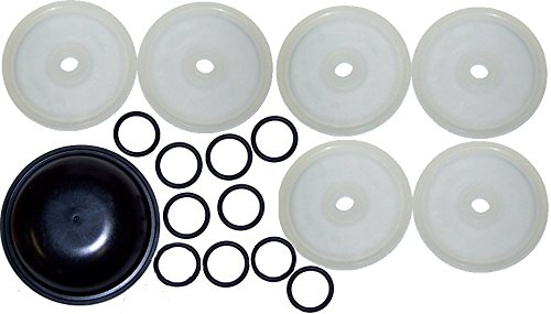Hypro 9910-KIT1722 Diaphragm Repair Kit for D250 Diaphragm Pump