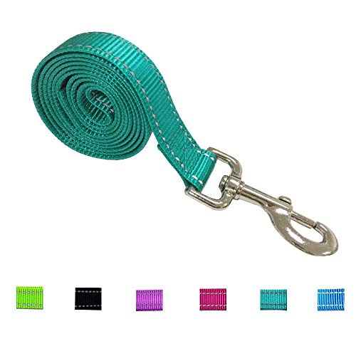 Graceful life Reflective Nylon Dog Leash with Reflective Stitch for Night Walking, L (2.6 x 124 cm Length)