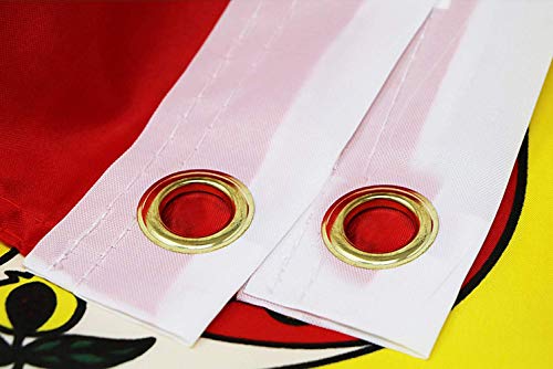 Bandera España Grande, Amison 2pcs Bandera de España, Resistente a la Intemperie, 90 x 150 cm