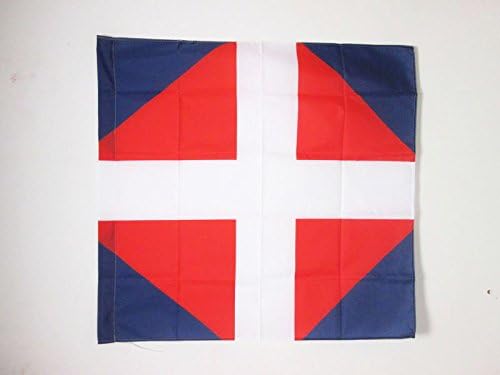 AZ FLAG, French Empire Infantry Regiment Viennois 1776-1794 Flag, 3x3 Ft, 100% Polyester Army of France Banner with Sleeve